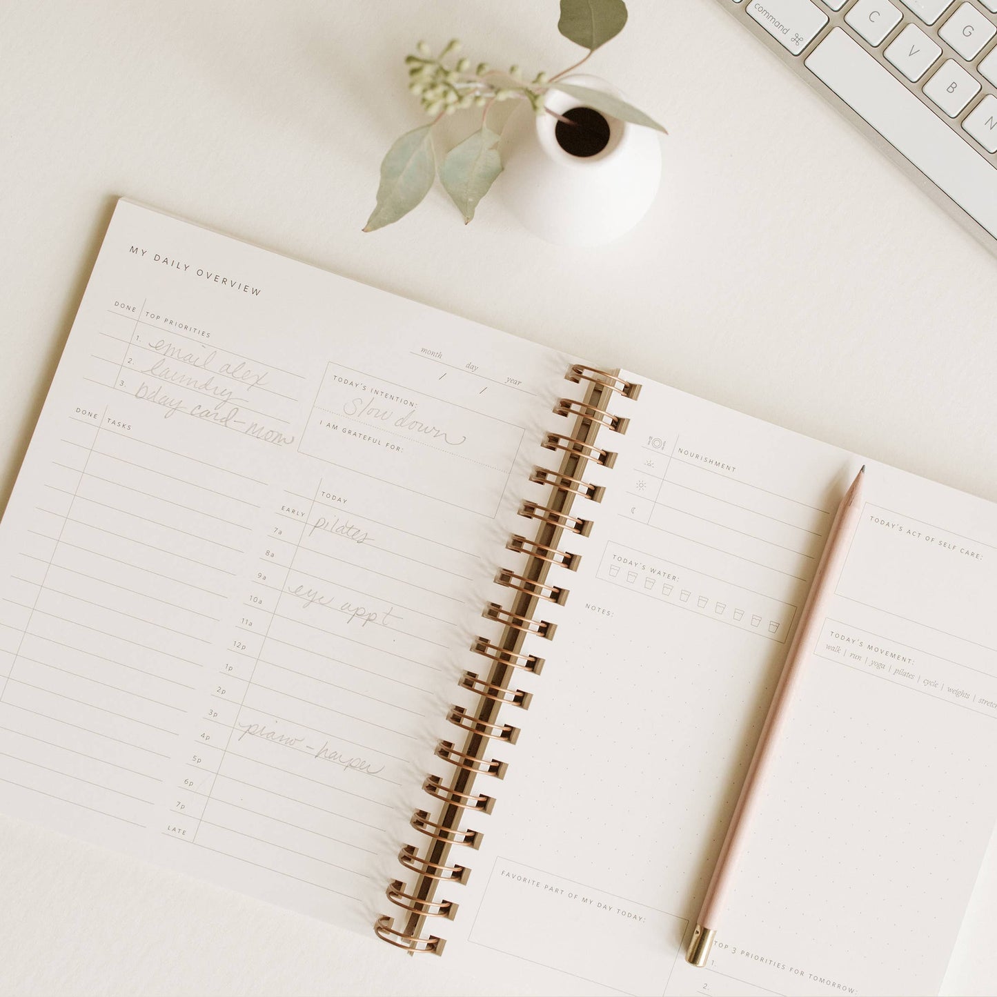 The Daily Overview Planner | 3 Colors